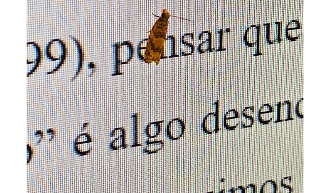 O discurso do ministro Milton Ribeiro