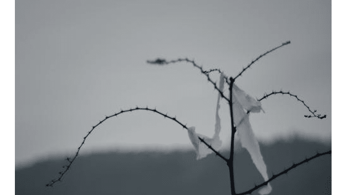 Israel e Palestina – guerra sem fim